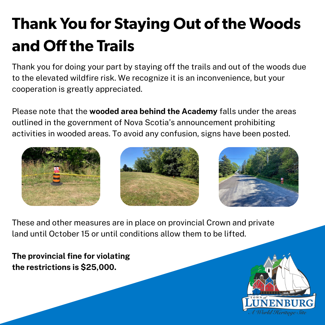 Thank You for Staying Out of the Woods