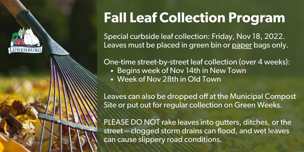 Fall Leaf Collection 2022